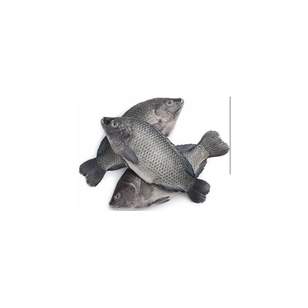 Black Tilapia Fish (4kg)