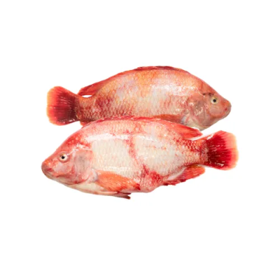 Red tilapia fish 4kg