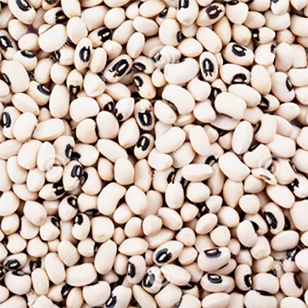 White Beans (1kg)