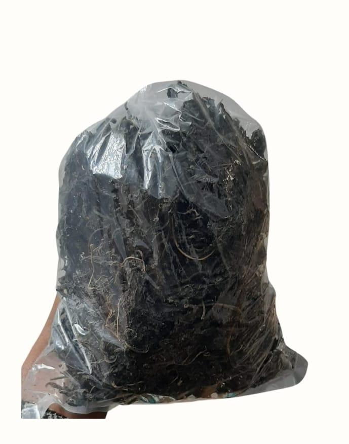 Dry bitterleaf