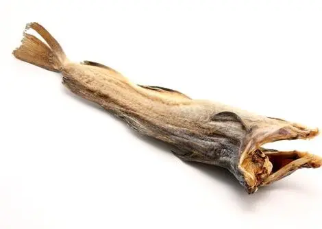 StockFish Tusk