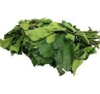 Dry Ugwu