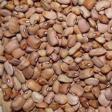 Brown Beans (5kg)