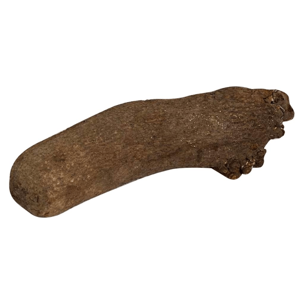 Fresh Yam (single tuber)