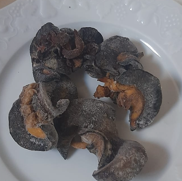 Dried Snail