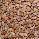 Brown Beans