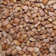 Brown Beans