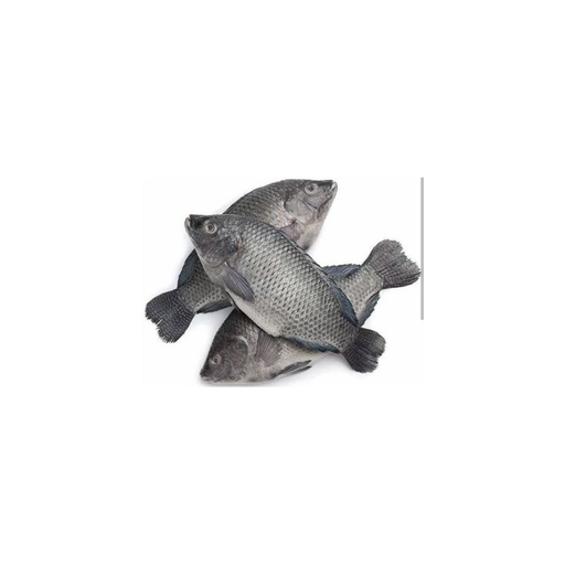 Black Tilapia Fish (4kg)