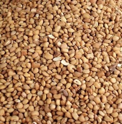 Honey Beans (1kg)