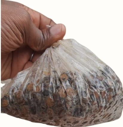 Frozen Iru (200G)