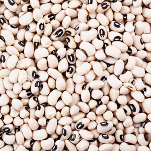 White Beans (5kg)
